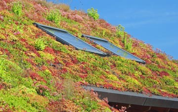 Stanpit living roof systems