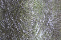 Stanpit fibreglass roof work